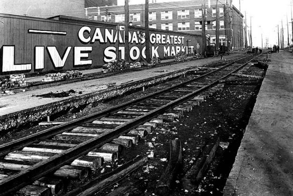 800px-Stockyards_in_Toronto-Keele_Street_looking_north_to_St._Clair_Avenue_West